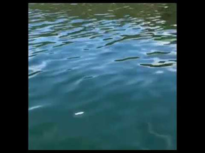 Loony Spoon - Vibe 4.5